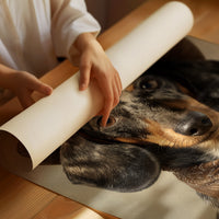 Ranch Hand Tales From Dappled Paws