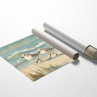 Sandpipers Dance Along Tidal Edge