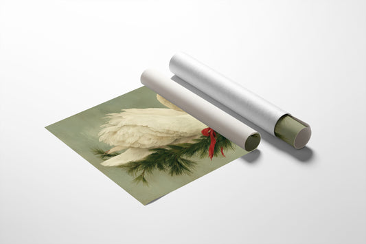 Winter Swan Among Pine Branches