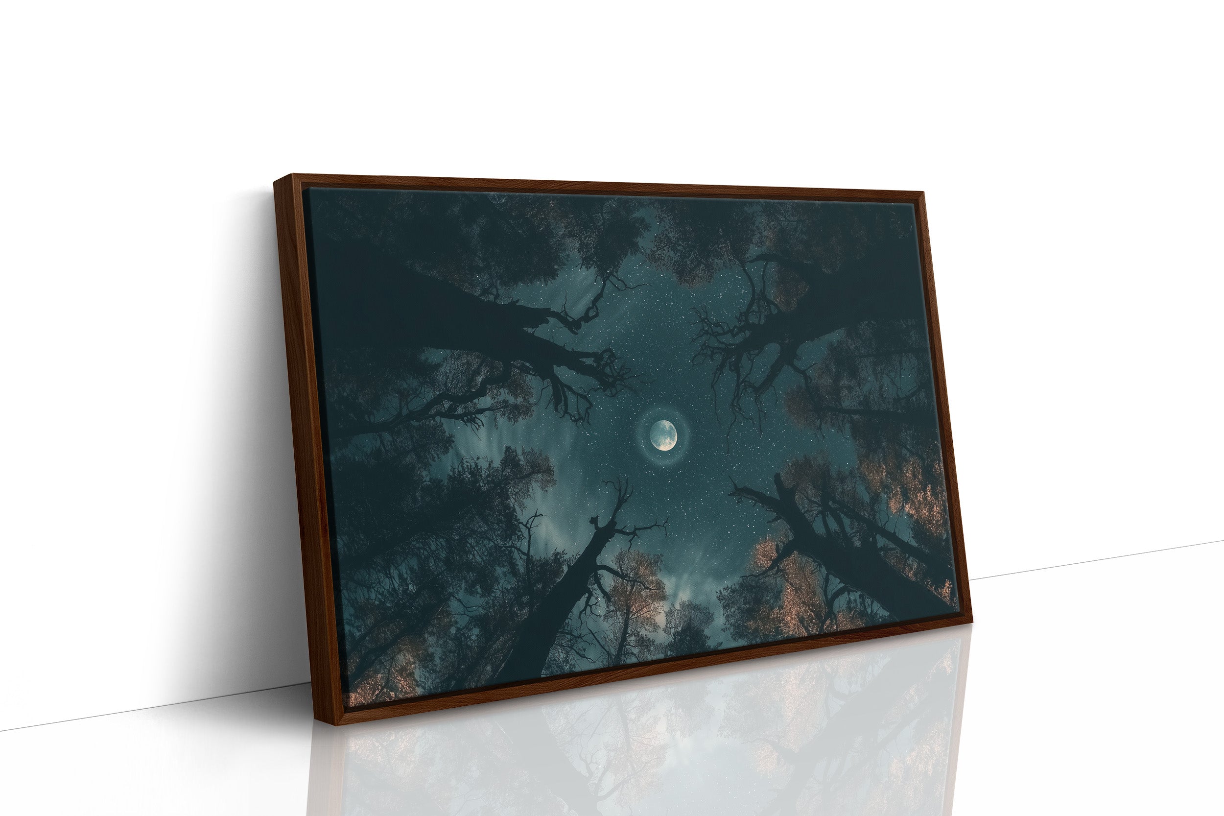 Moon, Through the Canopy