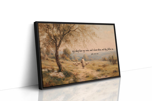 Shepherd's Path In Golden Light