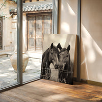 Close Companions at the Fence Line