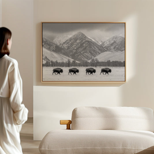 Where the Buffalo Roam