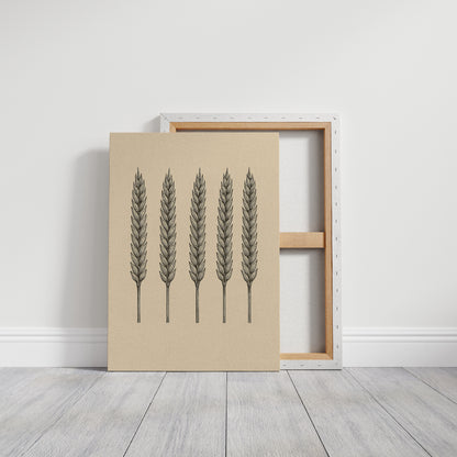 Five Loaves Botanical Wheat Illustration