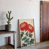 Red Chrysanthemum Elegance