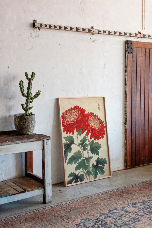 Red Chrysanthemum Elegance