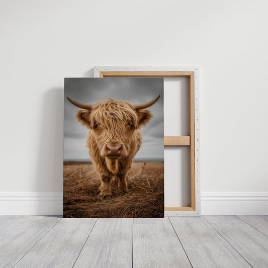 Highland Soul In Rustic Portrait