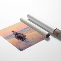 Where the Light Lands