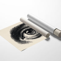 Windows To Ancient Knowledge Shelved