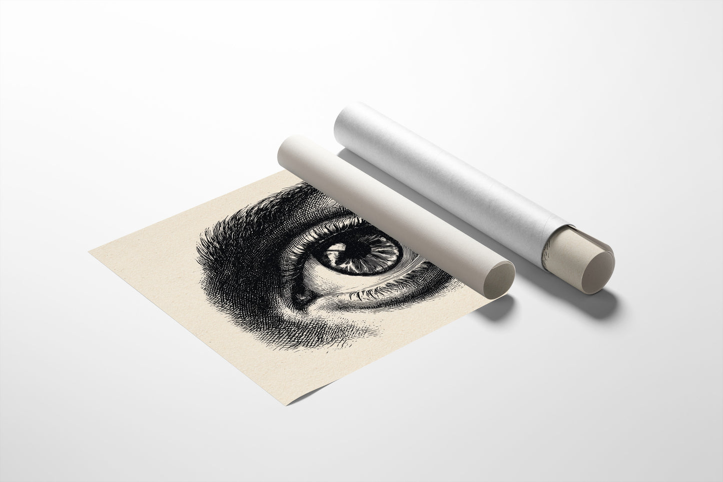 Windows To Ancient Knowledge Shelved