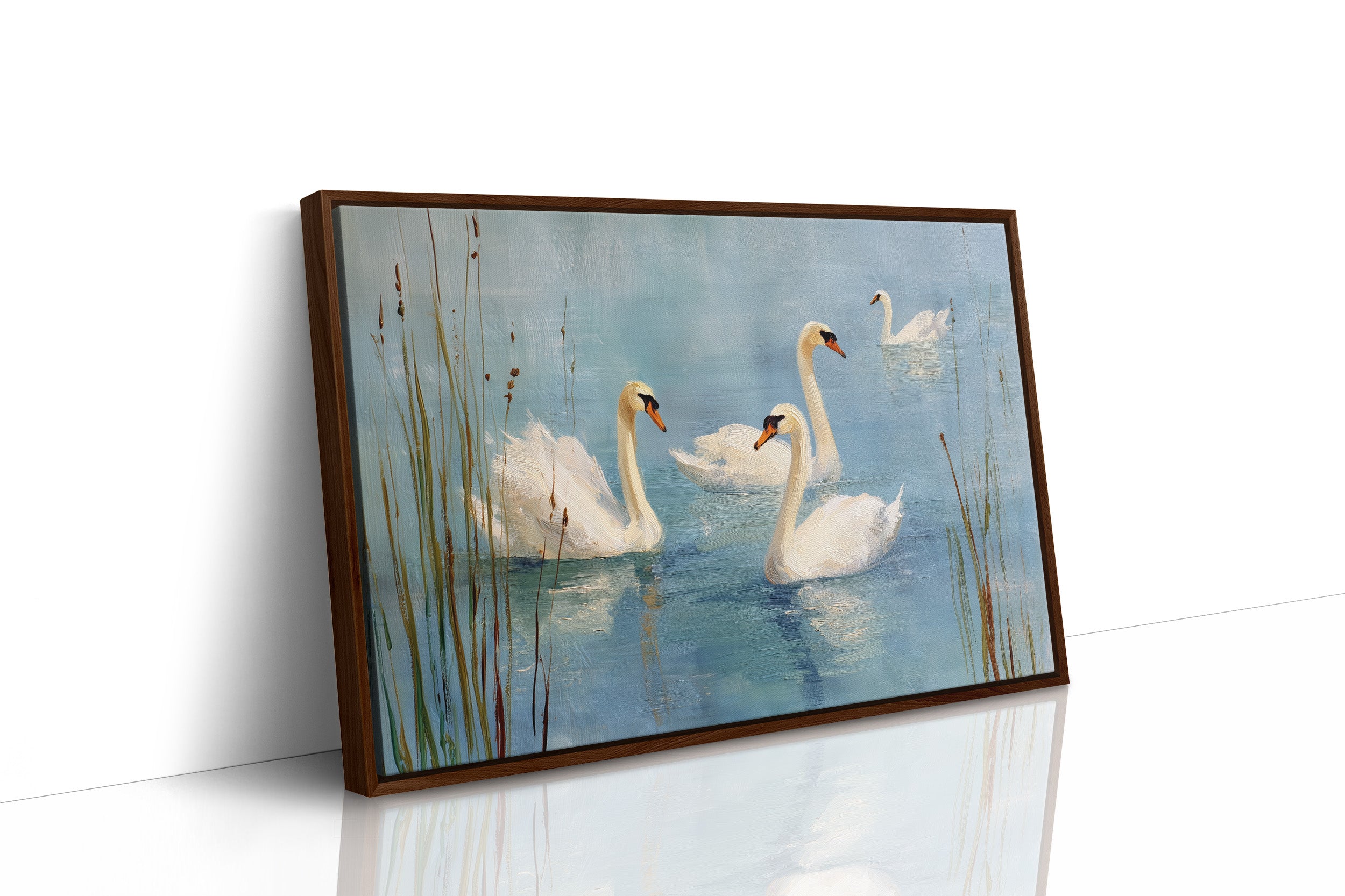 Morning Lake Holds Swan Stories