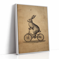 The Cycling Hare's Curious Journey