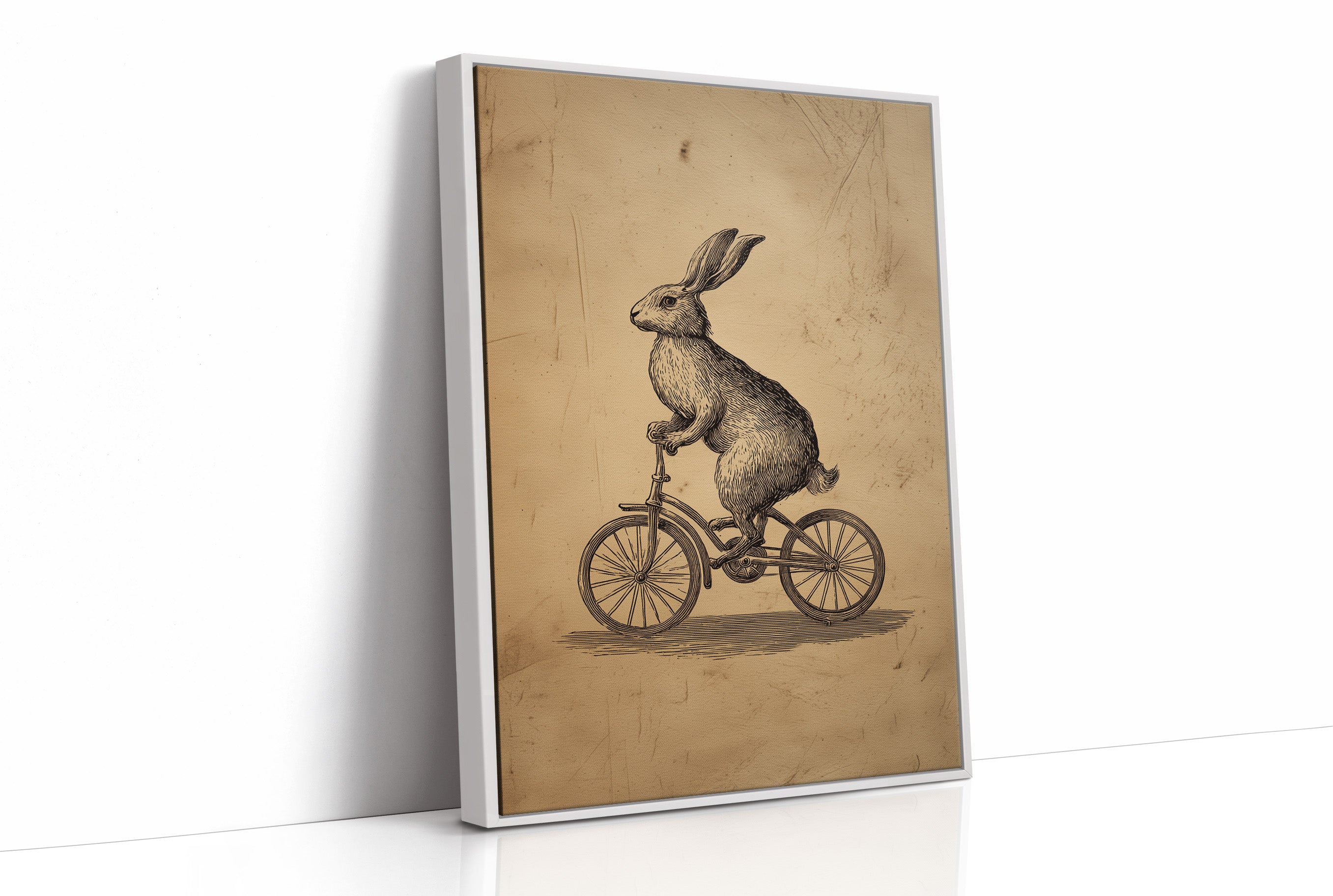 The Cycling Hare's Curious Journey