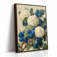 Cream Blossoms Among the Blue Plums