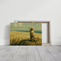 Golden Retriever, Golden Fields
