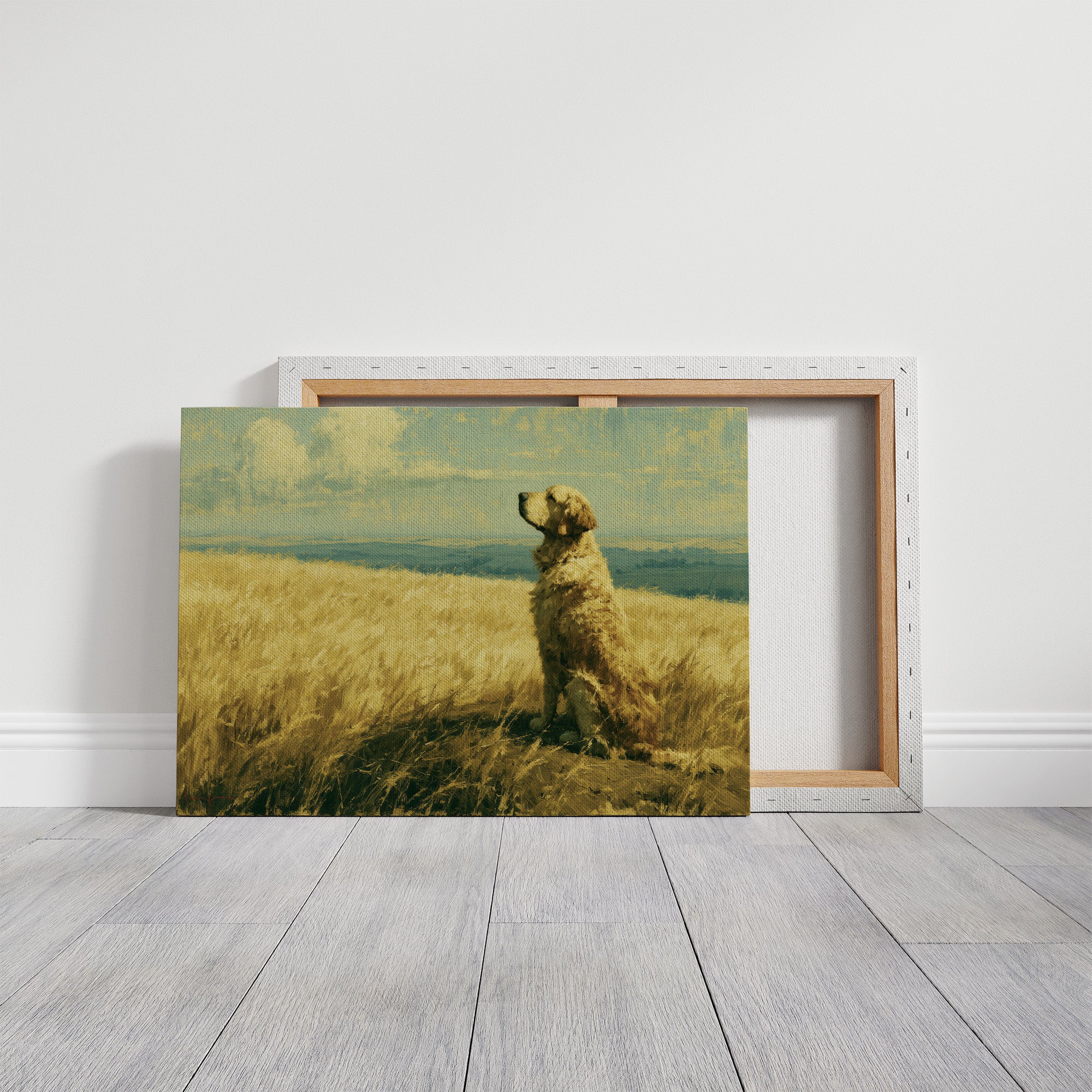 Golden Retriever, Golden Fields