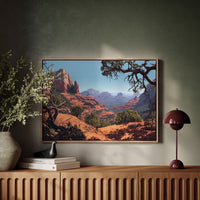 Twisted Juniper Frames Desert Peaks