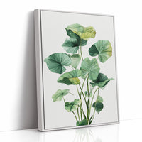 Lotus Leaves Dance In Sunlight