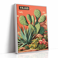Desert Stories Bloom In Coral
