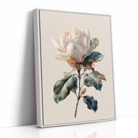 Southern Magnolia In Morning Light