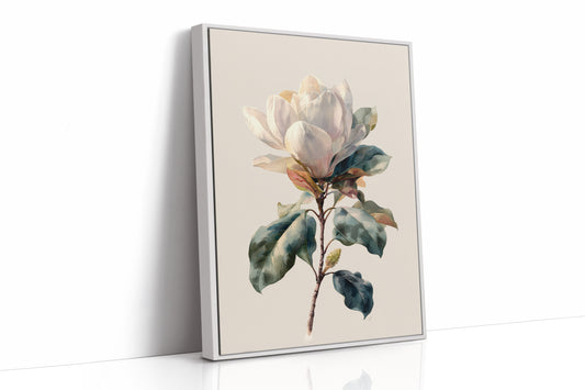 Southern Magnolia In Morning Light