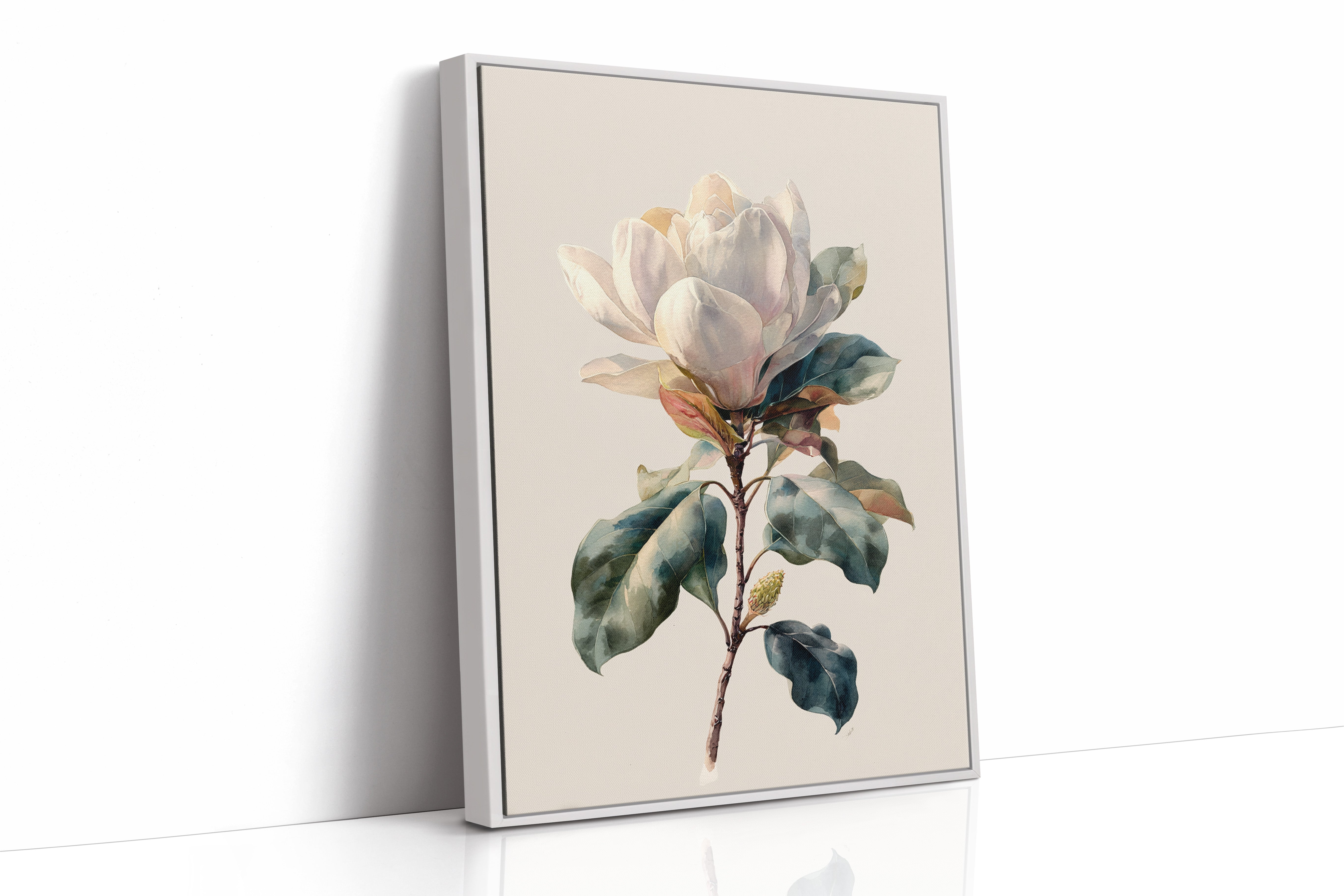 Southern Magnolia In Morning Light