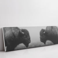 Silent Strength Of The American Bison