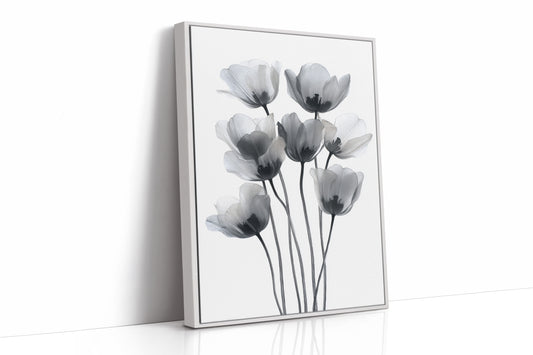 Tulips Dance In Silver Light