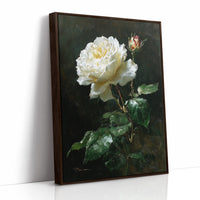 The White Rose Holds Its Light
