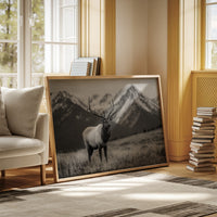 Crown of the Wilderness