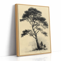 The Pine That Outlasted Everything