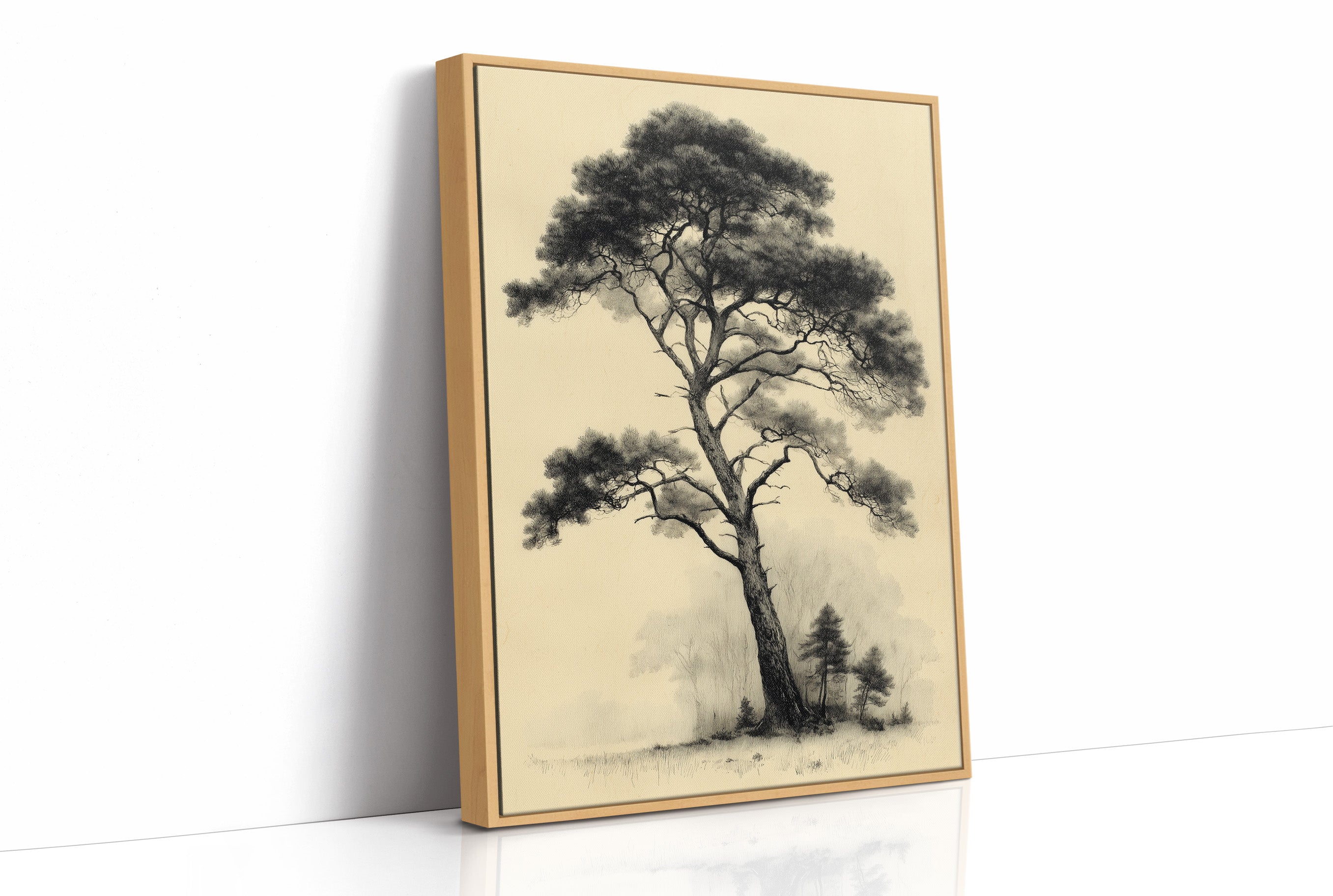 The Pine That Outlasted Everything