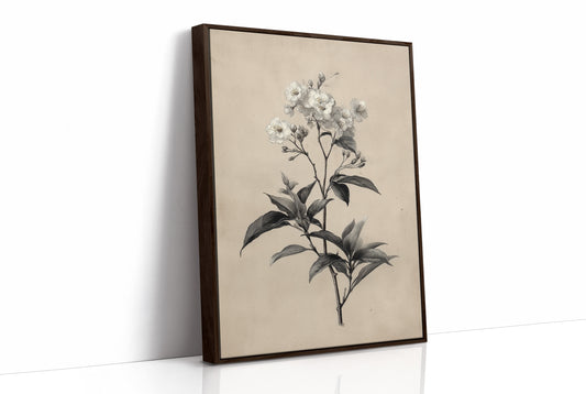 Drawn the Morning It Bloomed