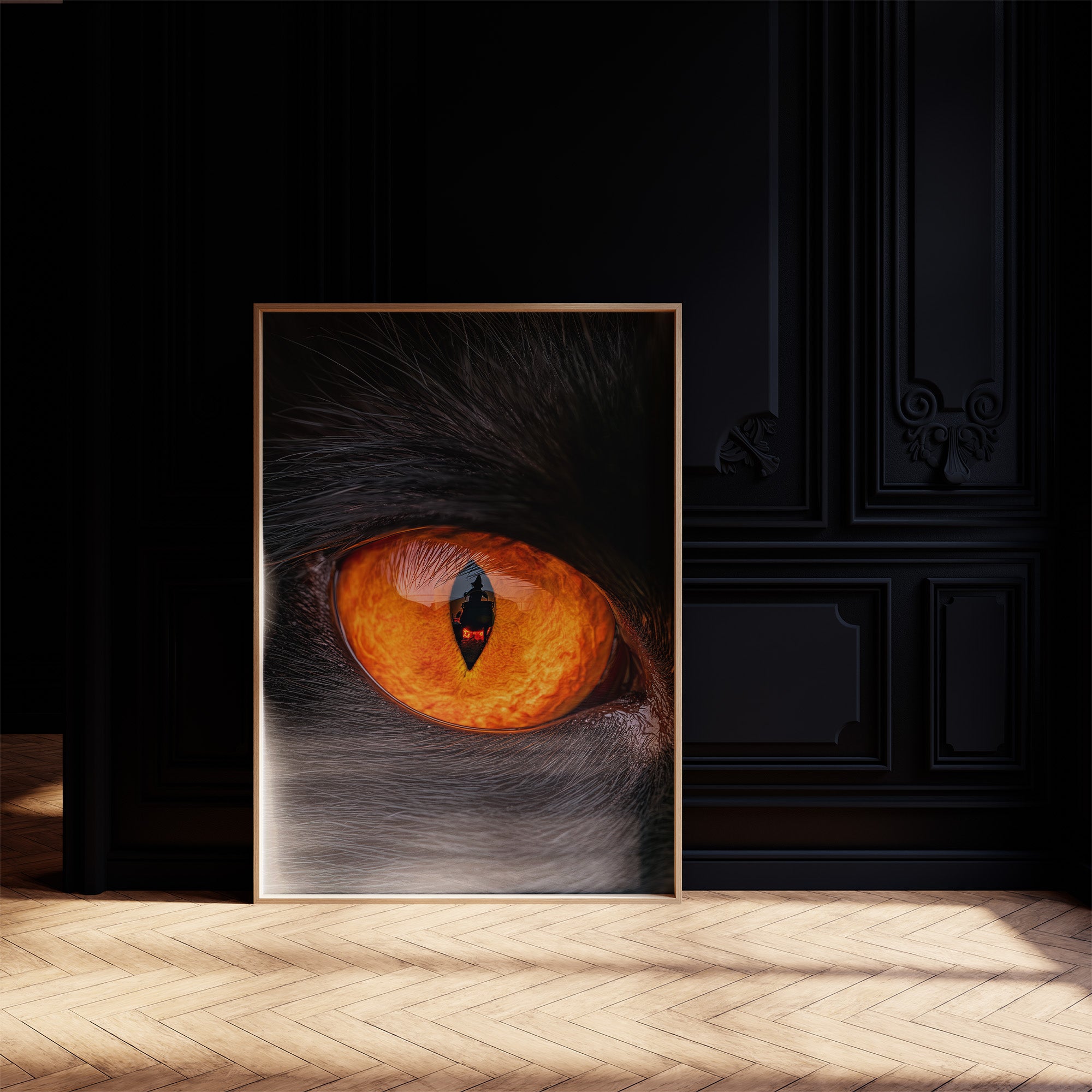 What the Cat's Eye Saw