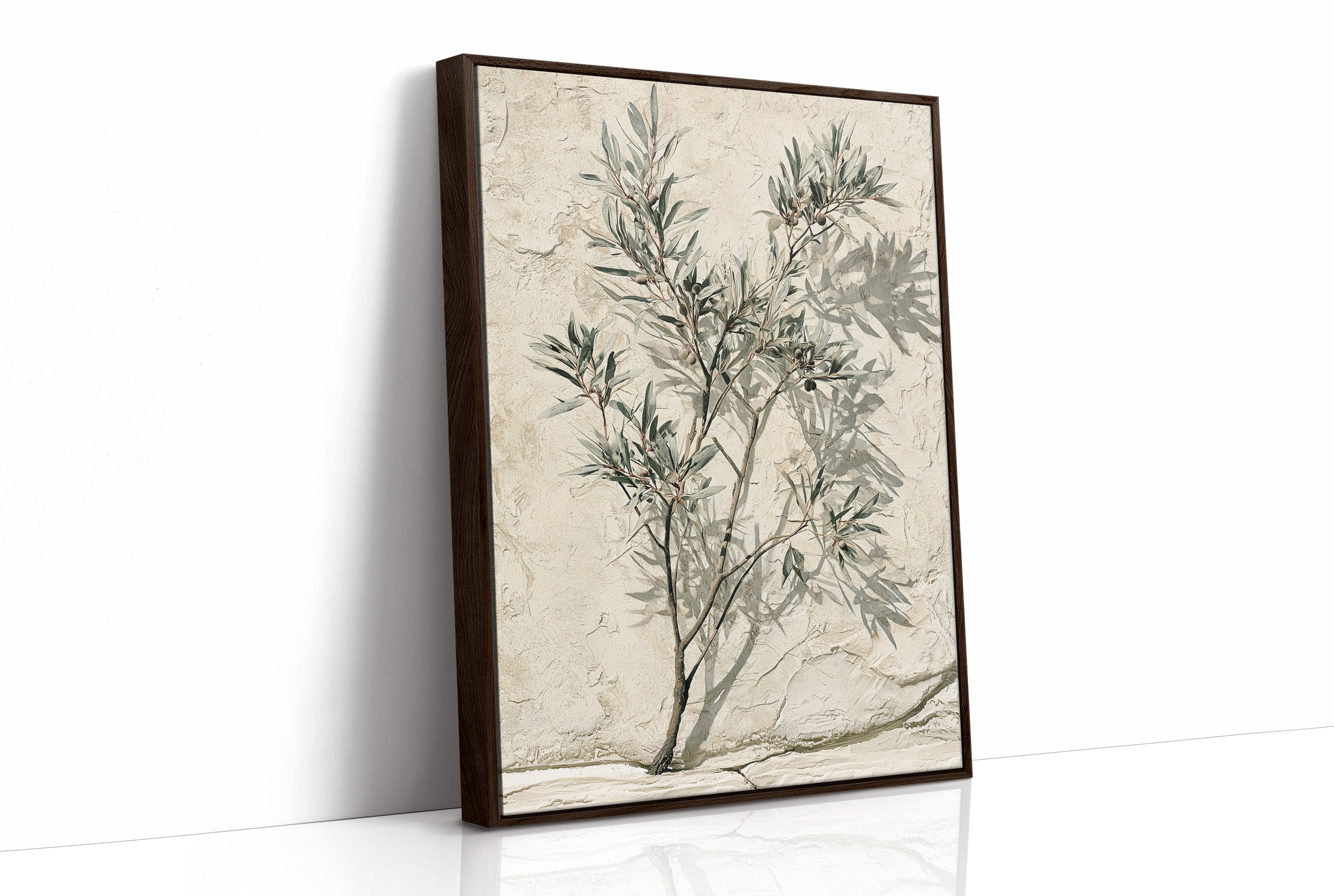 Olive Branch, Shadow on Plaster