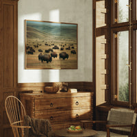 Prairie Kings Roam Ancient Ground