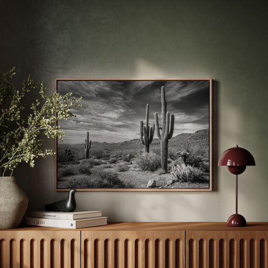 Tall Tales From Sonoran Skies