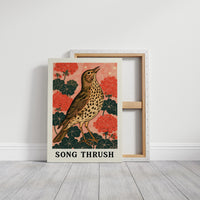 Song Thrush Among Geraniums