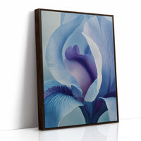 Something Soft Unfolds Within