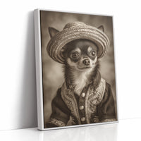 Little Bandito Wears Sunday Best