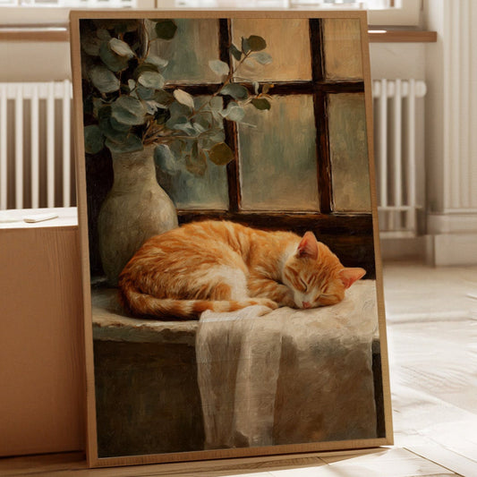Naptime Beneath Sunlit Windows