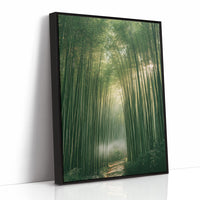 Misty Bamboo Forest Pathway