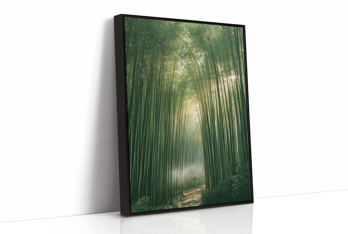 Misty Bamboo Forest Pathway