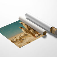 Lessons From The Shepherd's Field