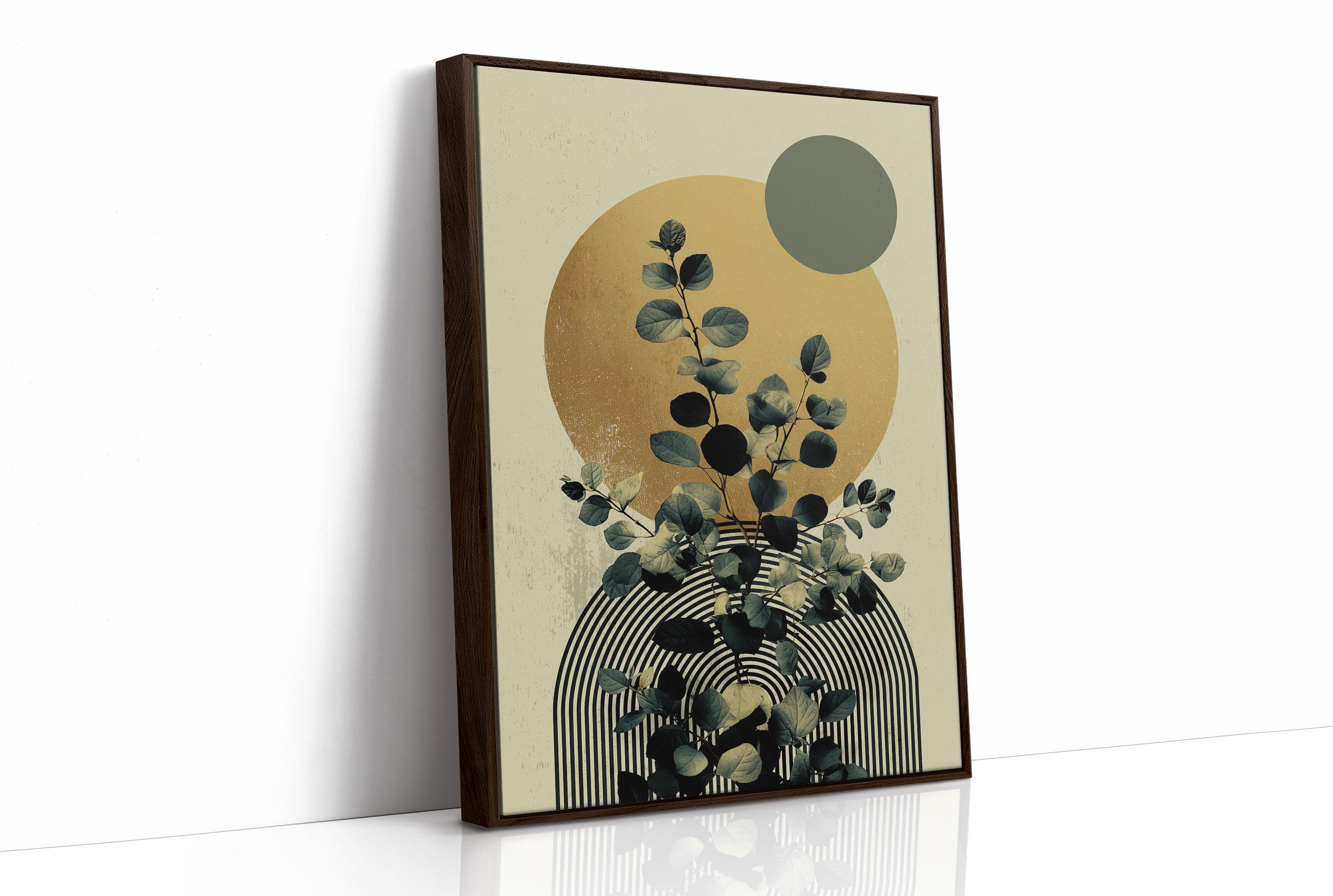 The Plant That Outgrew the Geometry
