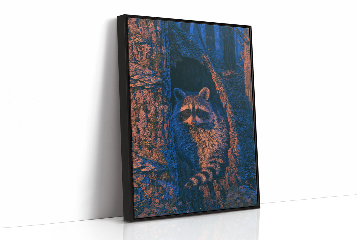 Twilight Raccoon Tree Hollow