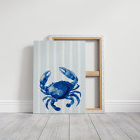 Coastal Blue Meets Desert Warmth