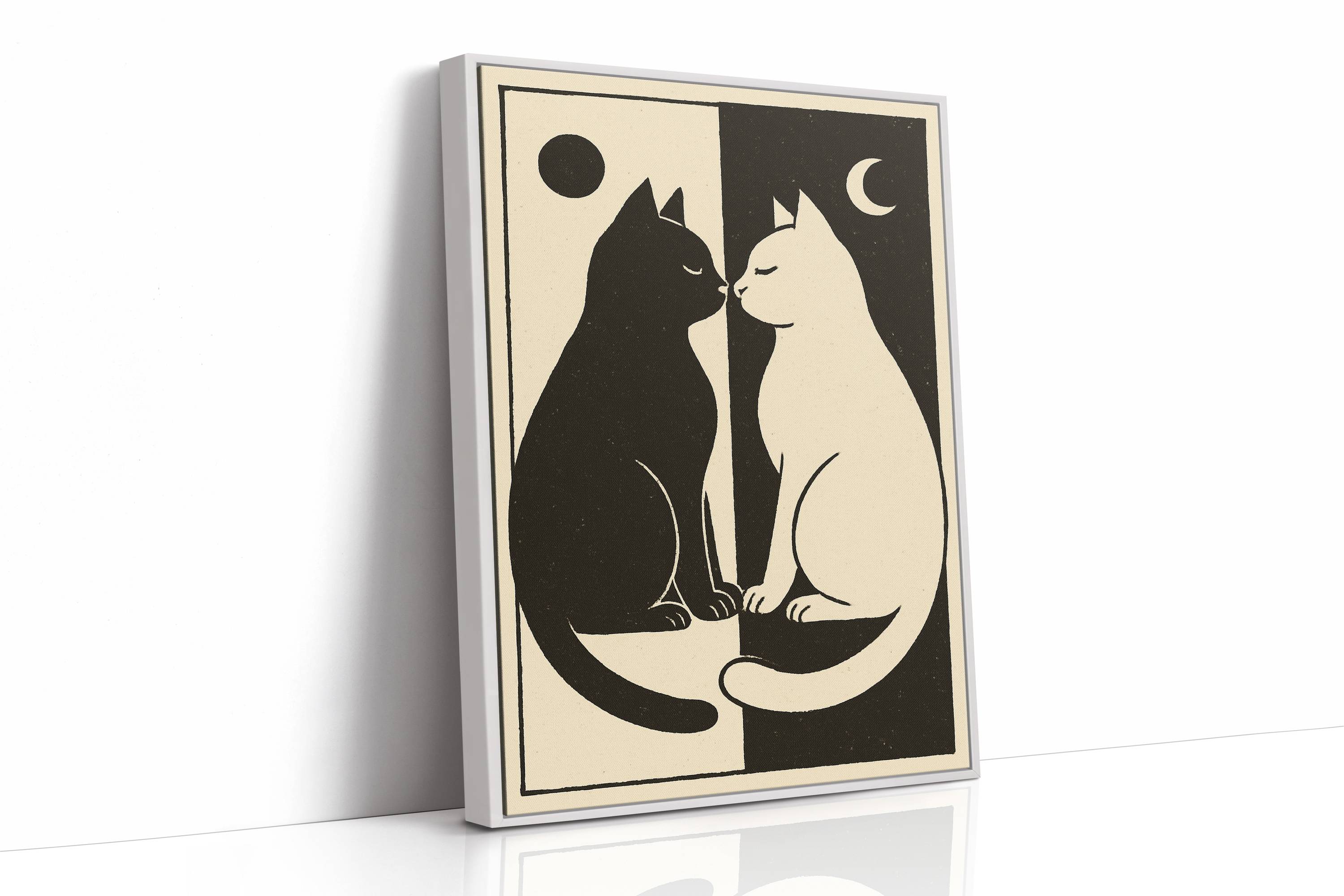 Day Meets Night Through Feline Eyes