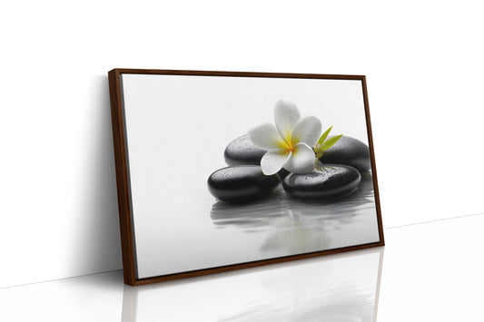 Plumeria Finds Peace On Stones