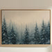 Winter Pines Hold Morning Secrets